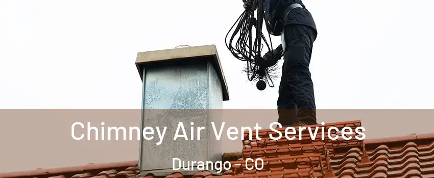  Chimney Air Vent Services Durango - CO