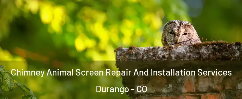  Chimney Animal Screen Repair And Installation Services Durango - CO
