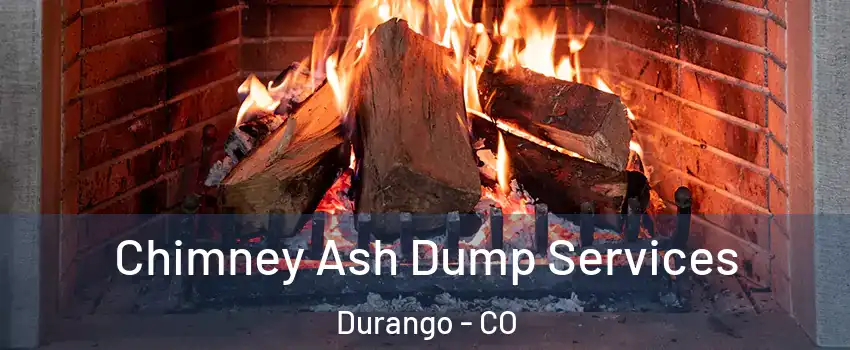  Chimney Ash Dump Services Durango - CO