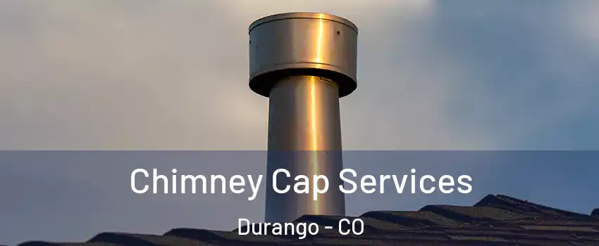  Chimney Cap Services Durango - CO