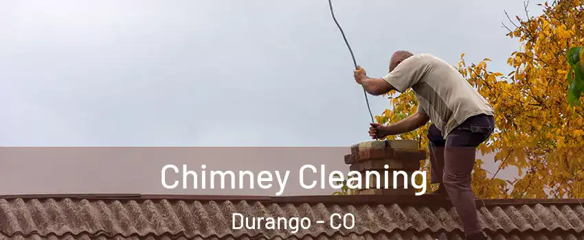  Chimney Cleaning Durango - CO