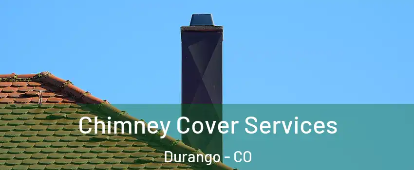  Chimney Cover Services Durango - CO