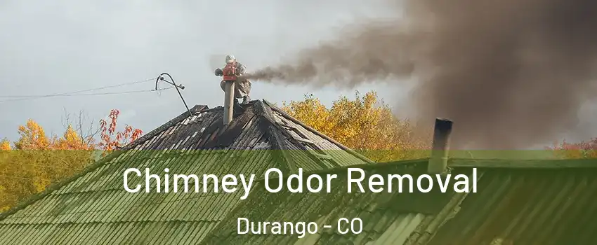  Chimney Odor Removal Durango - CO