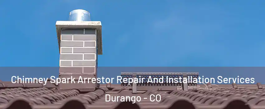  Chimney Spark Arrestor Repair And Installation Services Durango - CO