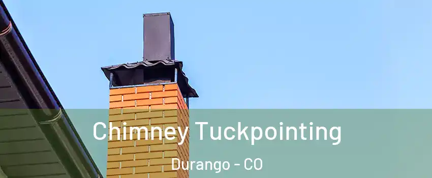  Chimney Tuckpointing Durango - CO