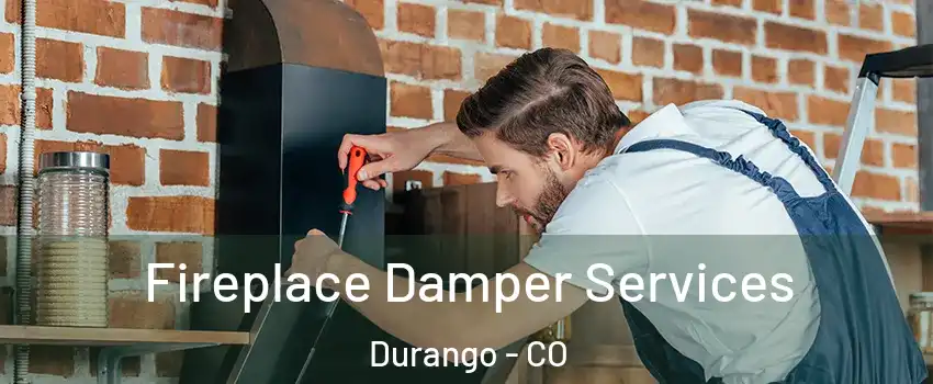  Fireplace Damper Services Durango - CO