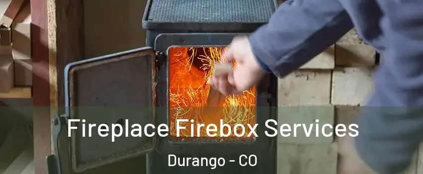  Fireplace Firebox Services Durango - CO