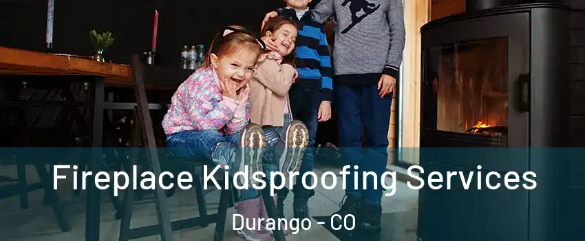  Fireplace Kidsproofing Services Durango - CO