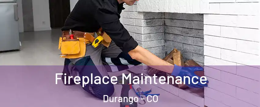  Fireplace Maintenance Durango - CO