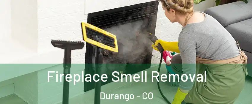  Fireplace Smell Removal Durango - CO