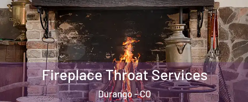  Fireplace Throat Services Durango - CO