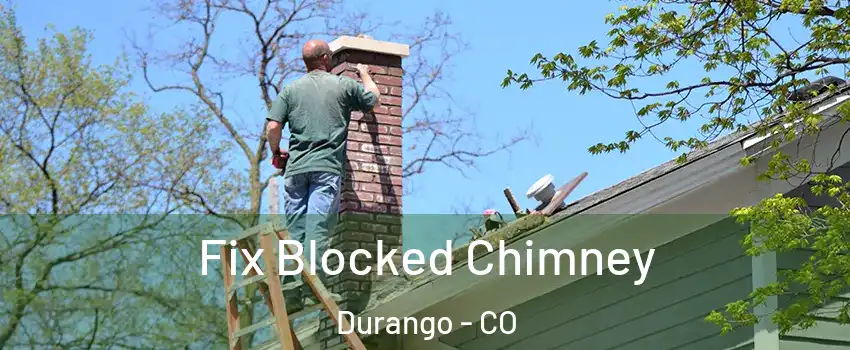  Fix Blocked Chimney Durango - CO