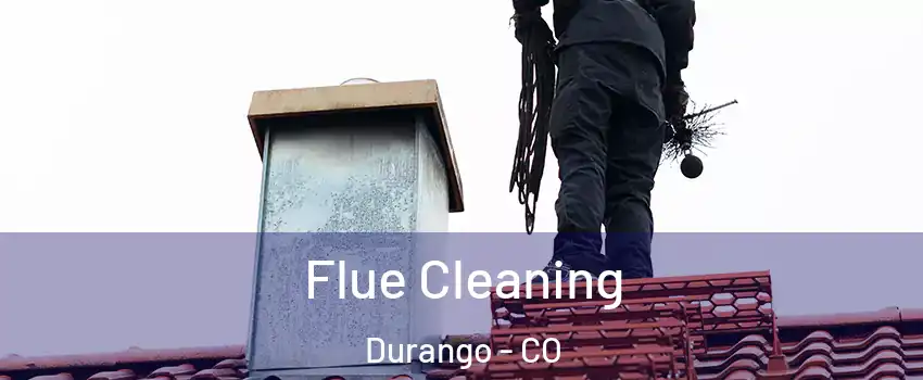  Flue Cleaning Durango - CO