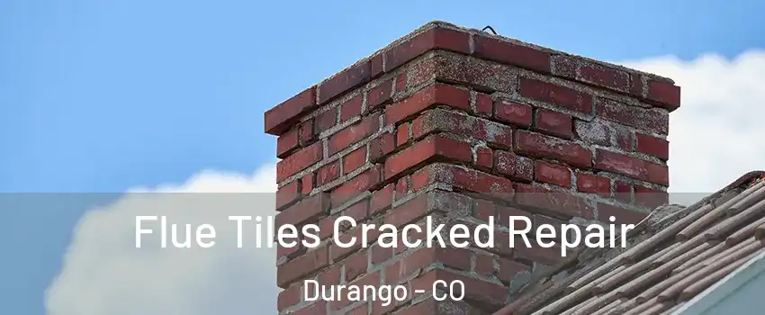  Flue Tiles Cracked Repair Durango - CO
