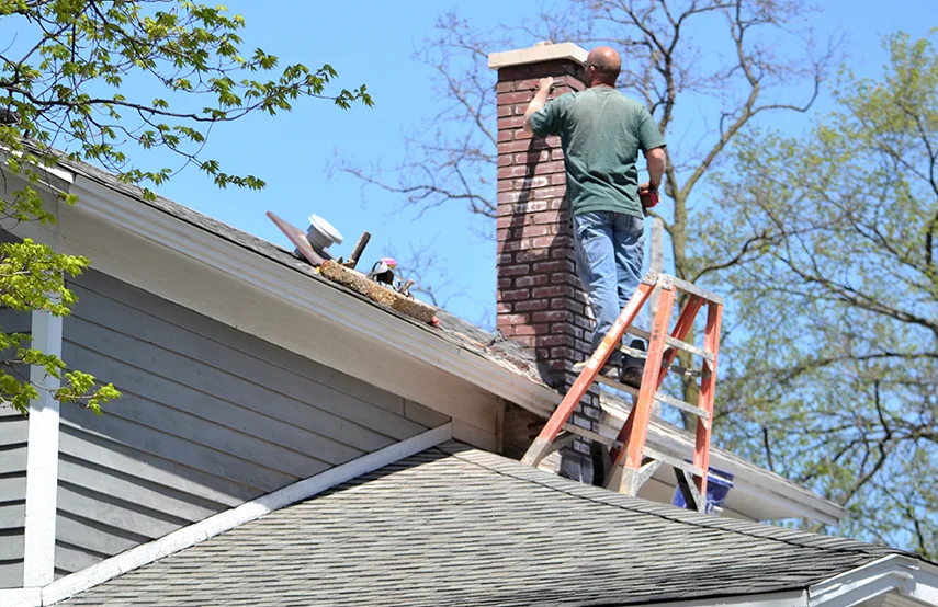 Chimney & Fireplace Inspections Services in Durango, CO