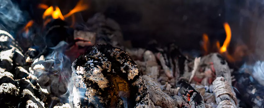 Creosote Removal Experts in Durango, CO