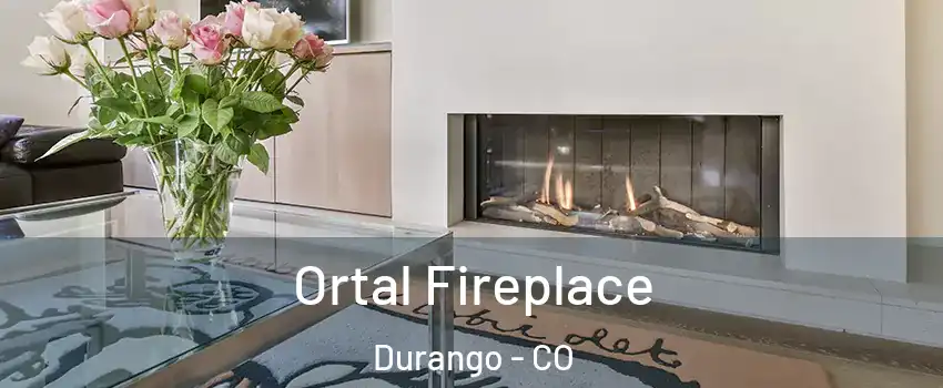  Ortal Fireplace Durango - CO