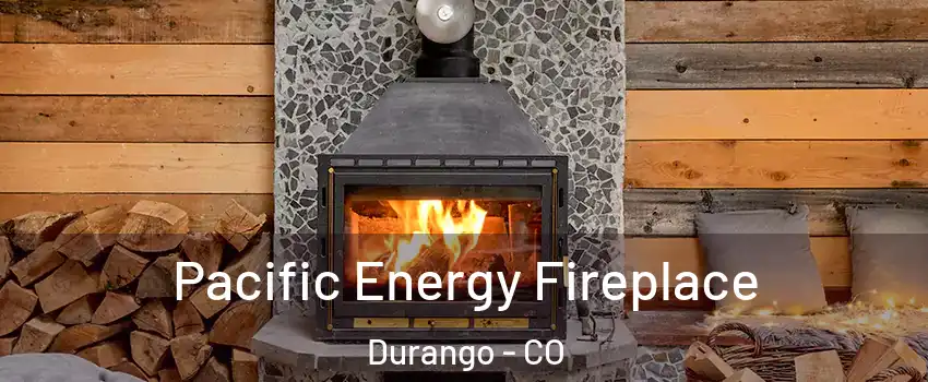  Pacific Energy Fireplace Durango - CO